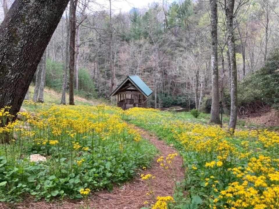 Little River Cabin Sparta 外观 照片