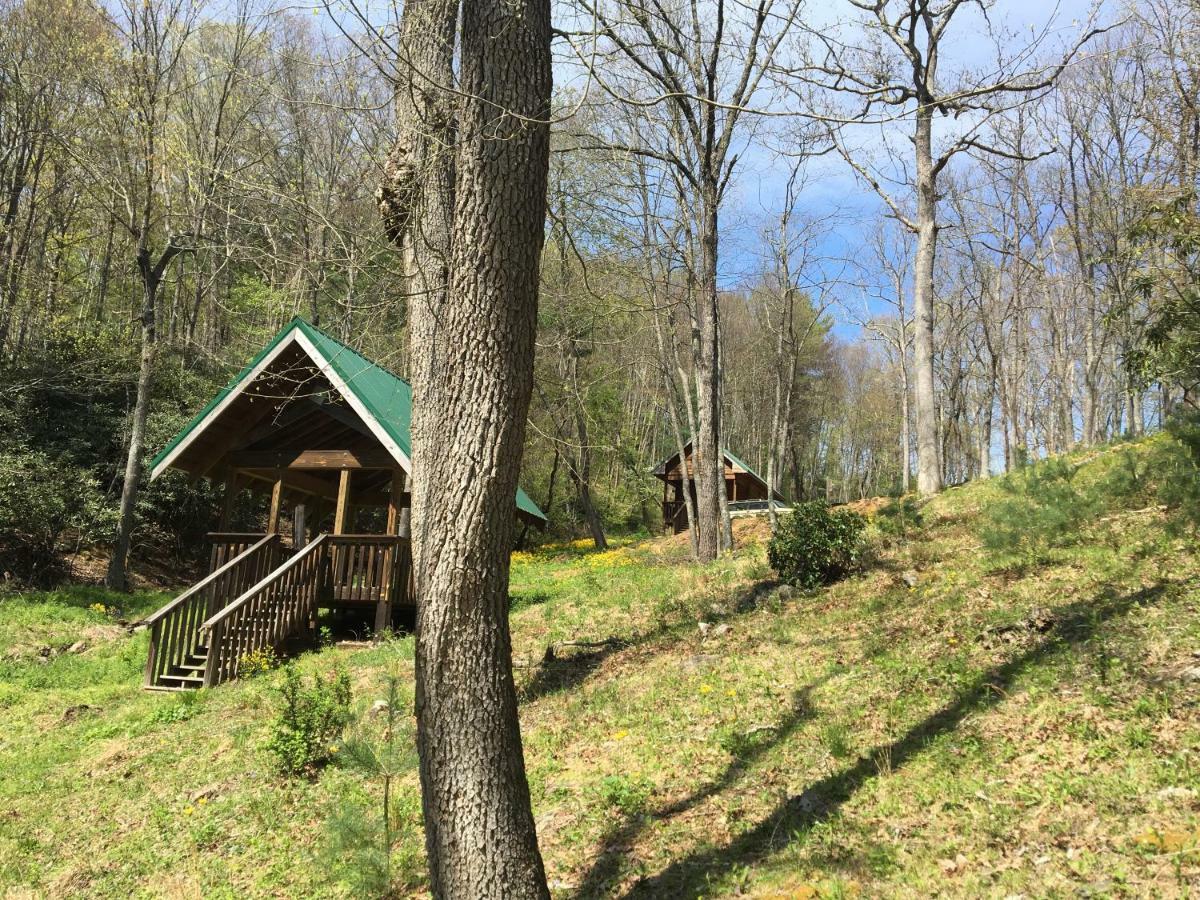 Little River Cabin Sparta 外观 照片