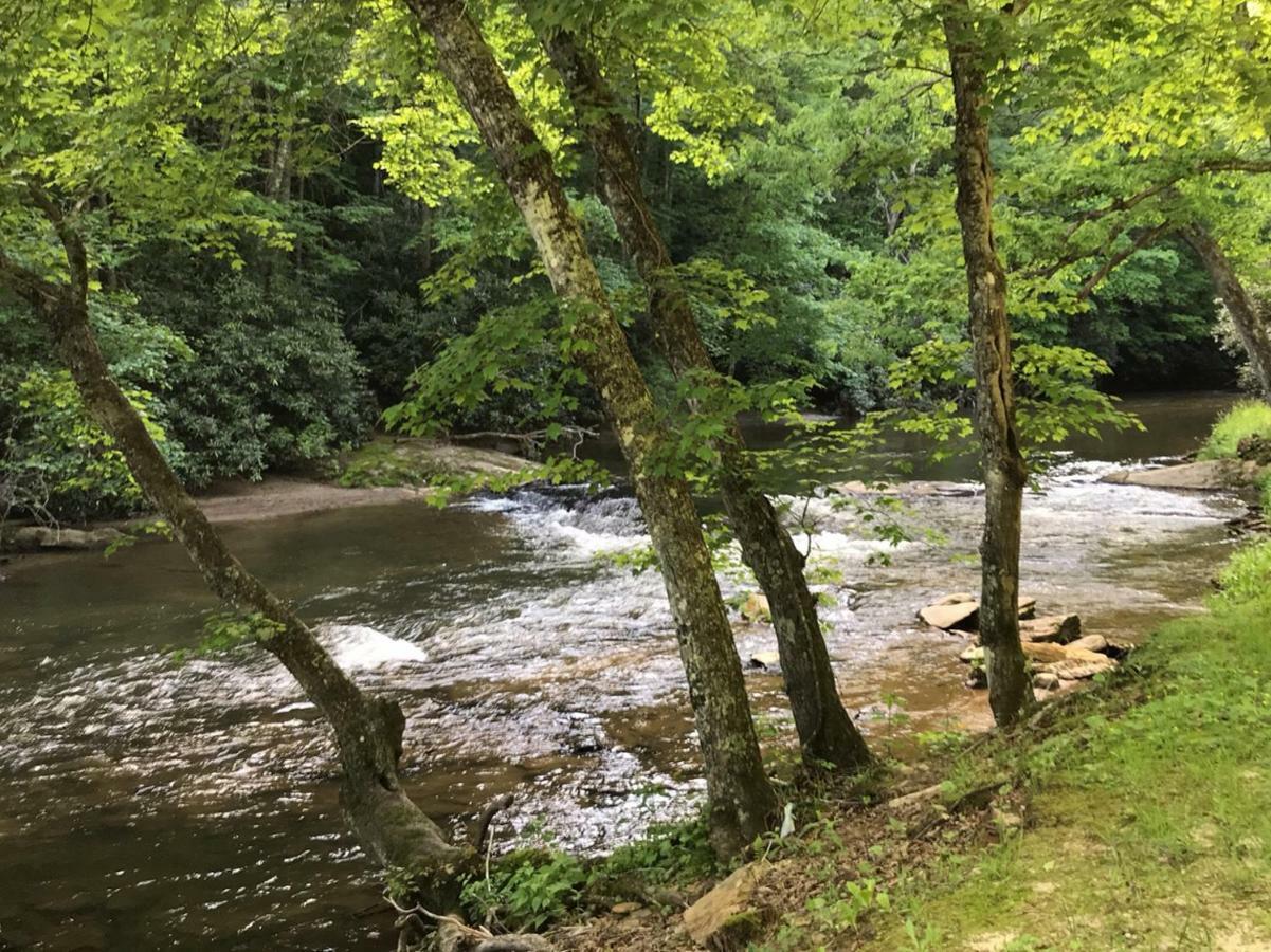 Little River Cabin Sparta 外观 照片